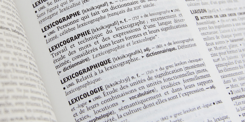 Quels sont les métiers du dictionnaire ?