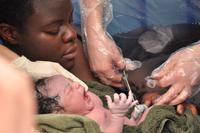 Le cordon ombilical est coupé dans les minutes qui suivent la naissance d'un bébé. - Crédits : Istock/myrrha