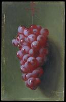 « Nature morte aux raisins », tableau de Carducius Plantagenet Ream (1838-1917) - Crédits : The MET Collection