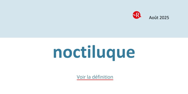 noctiluque