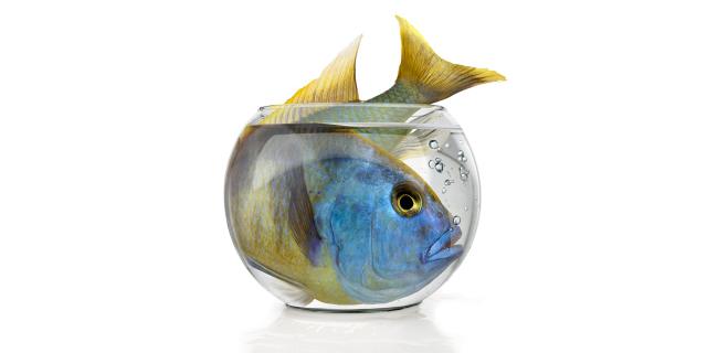Être gêné aux entournures