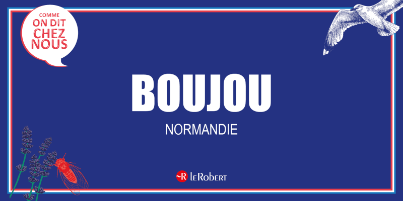 Boujou