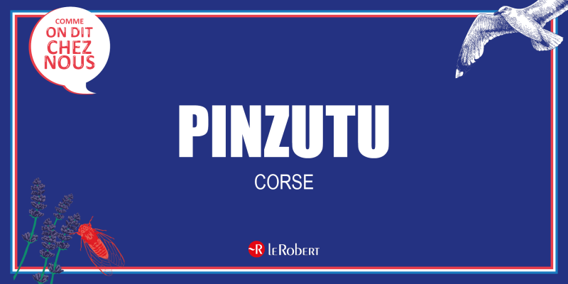 Pinzutu