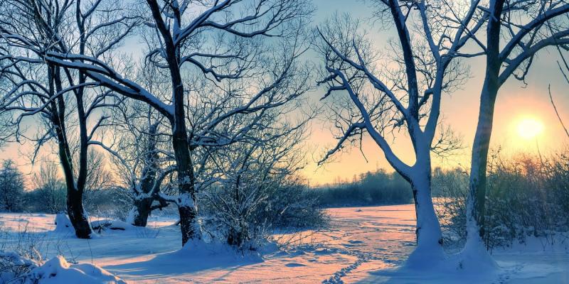Les mots de l'hiver