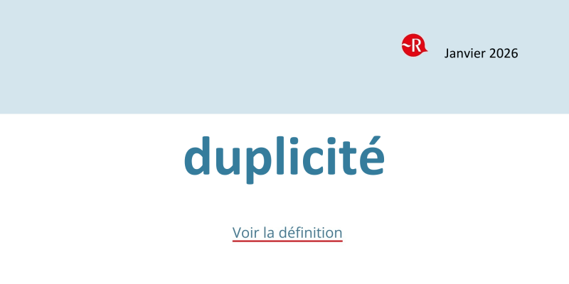À quoi servent les dictionnaires ?