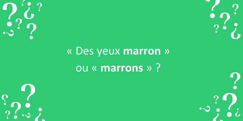 « Des yeux marron », ou « marrons » ?